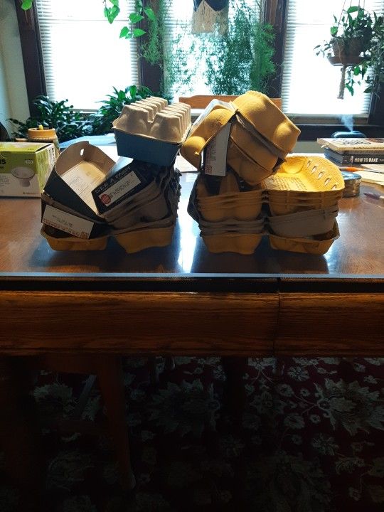 EGG CARTONS
