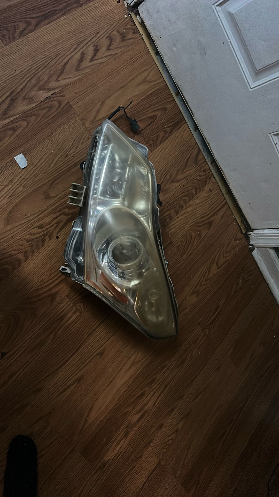 Infinity G37 Headlight 