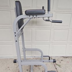Captain’s Chair Leg Raise w/ Dip Stand & Push Up Station   Asking $300 ($375 on website)   