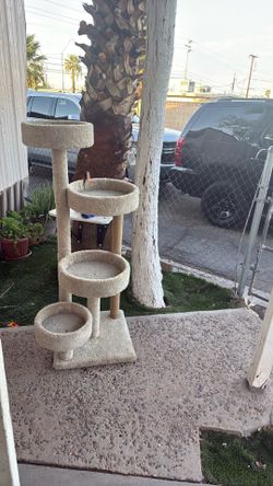 Cat tree yellowish carpet