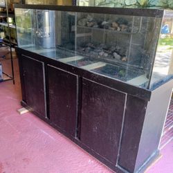 Fish Tank 150 G 