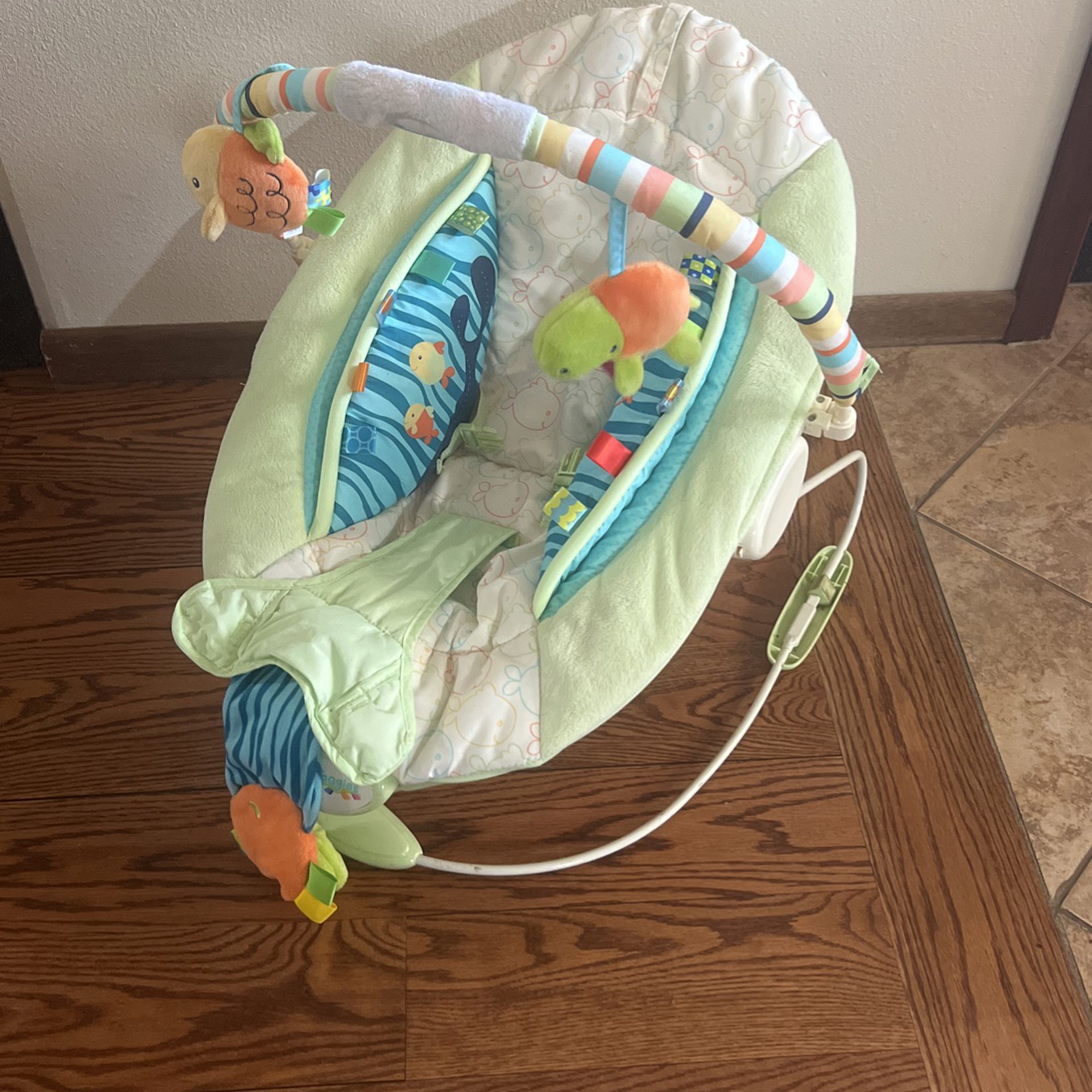 Taggies Baby Bouncer