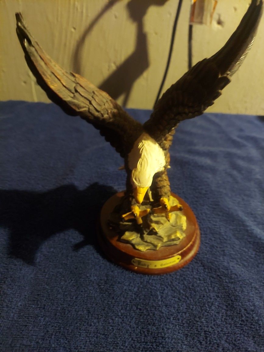 American Bald Eagle