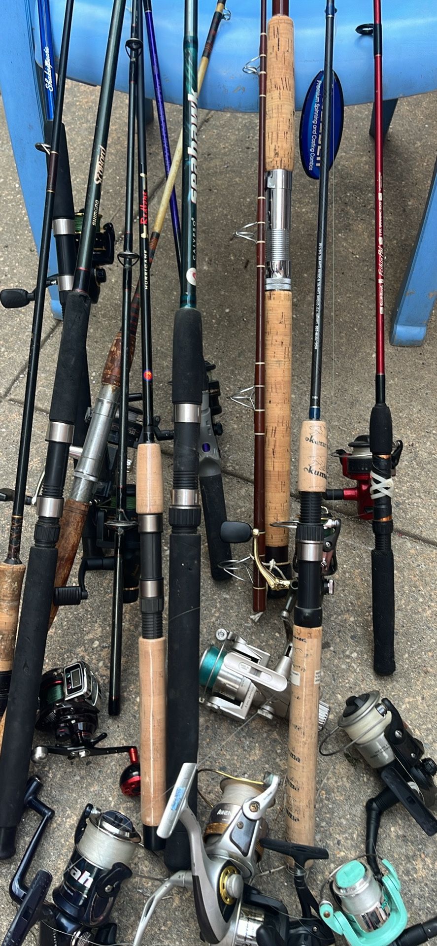 Fishing Rod And Reels