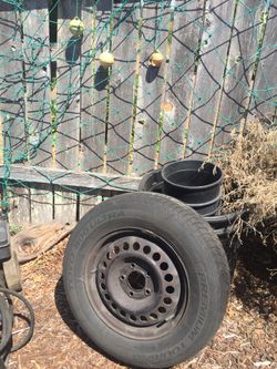 Tire