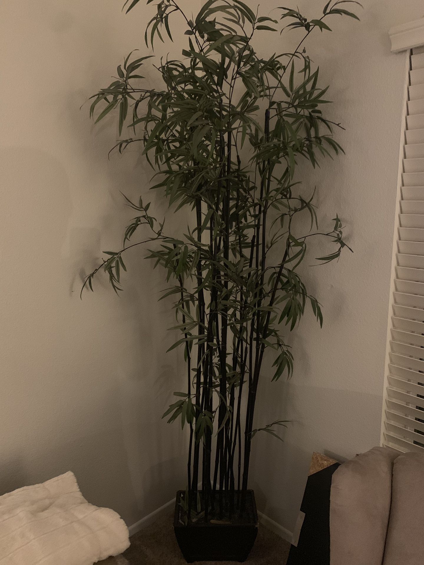 Pier 1 faux bamboo plant - 7’ tall