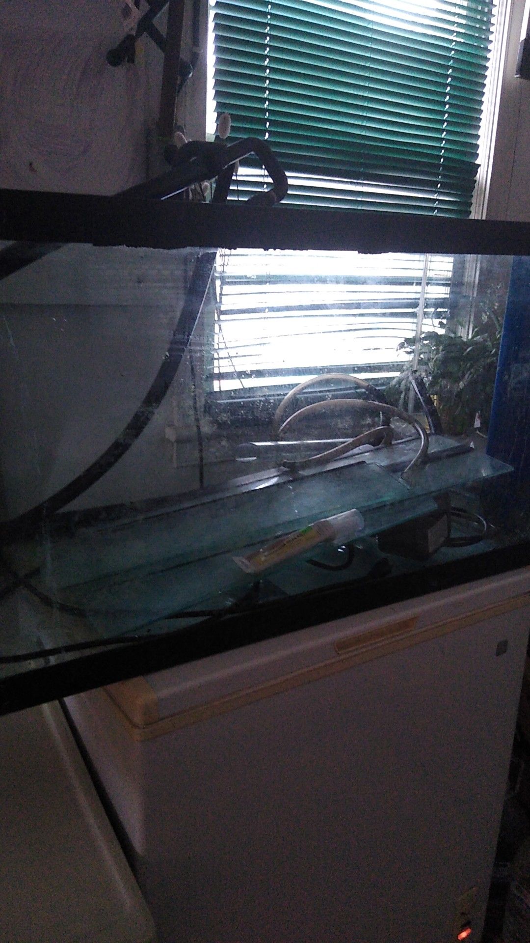 75 gallon salt water tank with sump and stand