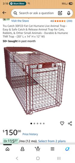 Animal trap