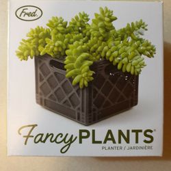 Fred Fancy PLANTS 