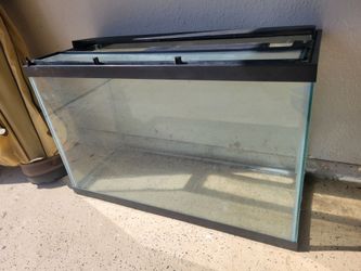 29 gallon tank used for reptiles terrarium