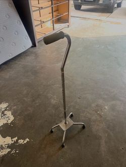Cane