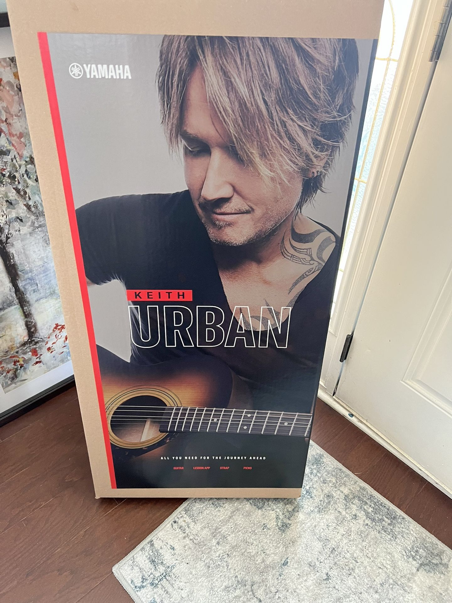 Keith Urban Guitar