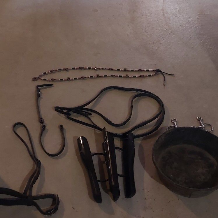 Horse Tack
