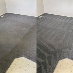Professional carpet cleaning