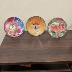 Colección de Pomeranians 