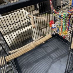 Bird Cage