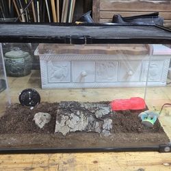 Glass Terrarium with Accessories