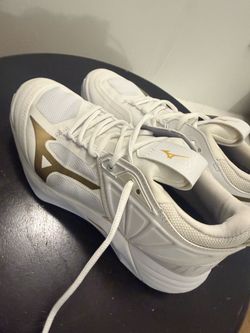Mizuno sports shoes