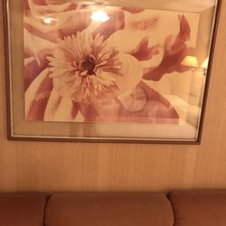 Pink and White Flowers - Framed Art