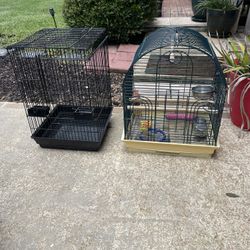 Bird Cage
