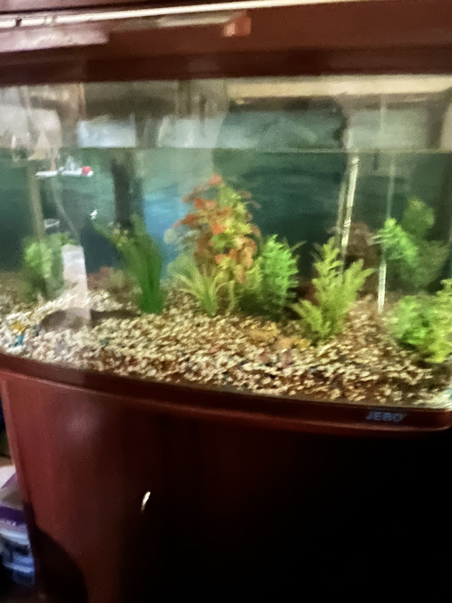 Fish Tank