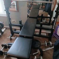 Weight Bench  Bench Only 