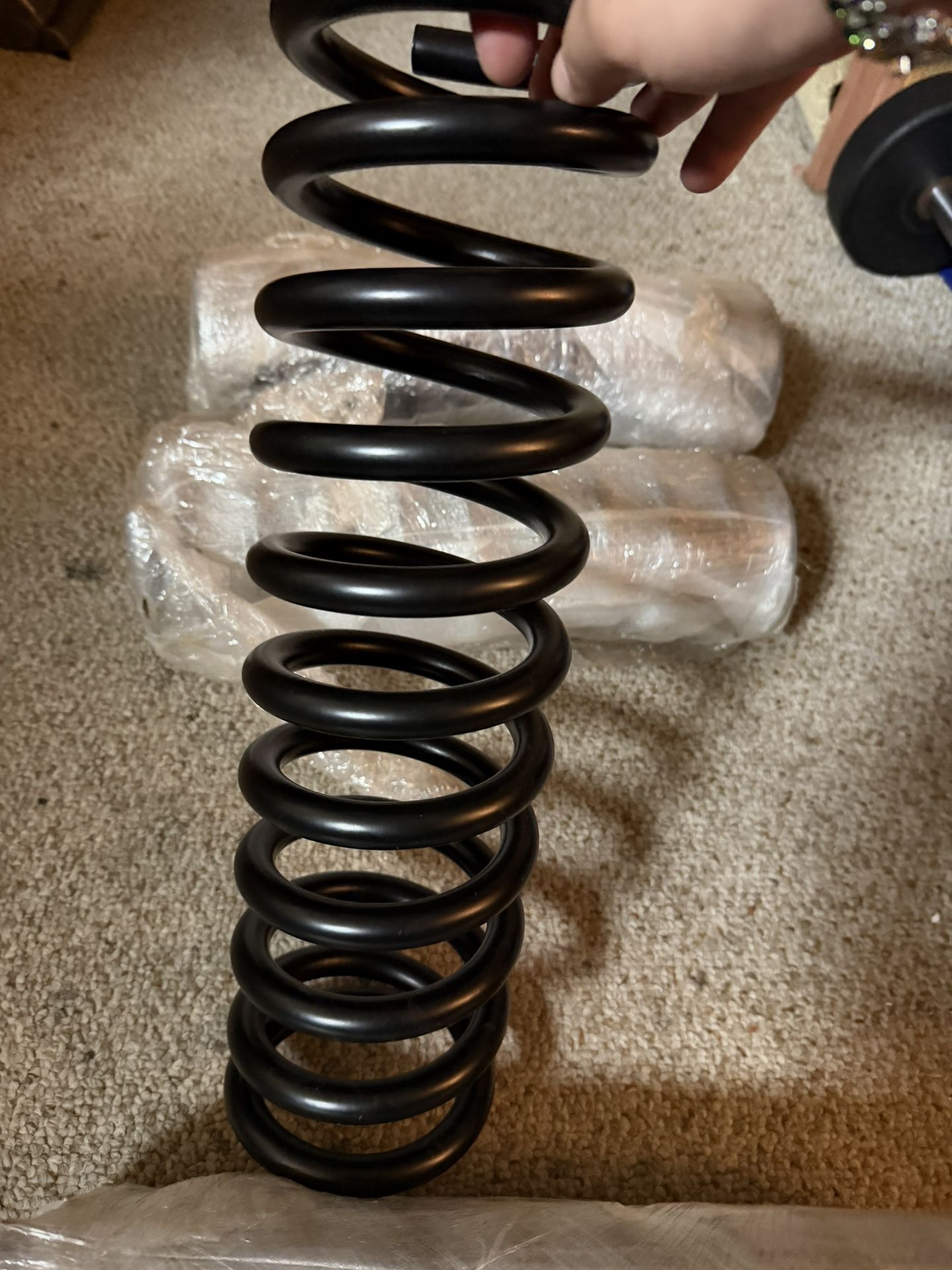 1960 Powdered Coated Chevy Springs