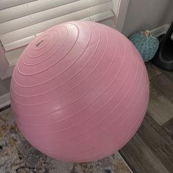 Everlast Weighted Stability Ball