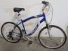 Schwinn searcher Bike