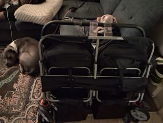 PUPPY OR SMALL DOG DOUBLE SEAT STROLLER