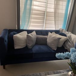 Velvet Blue Sofa & Love Seat (Living room Set) Couch 