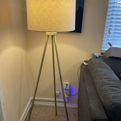 Mid Modern Century Light 