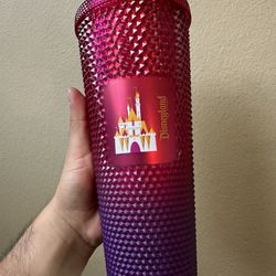 Disneyland Geometric Starbucks deals Tumbler w/ Straw