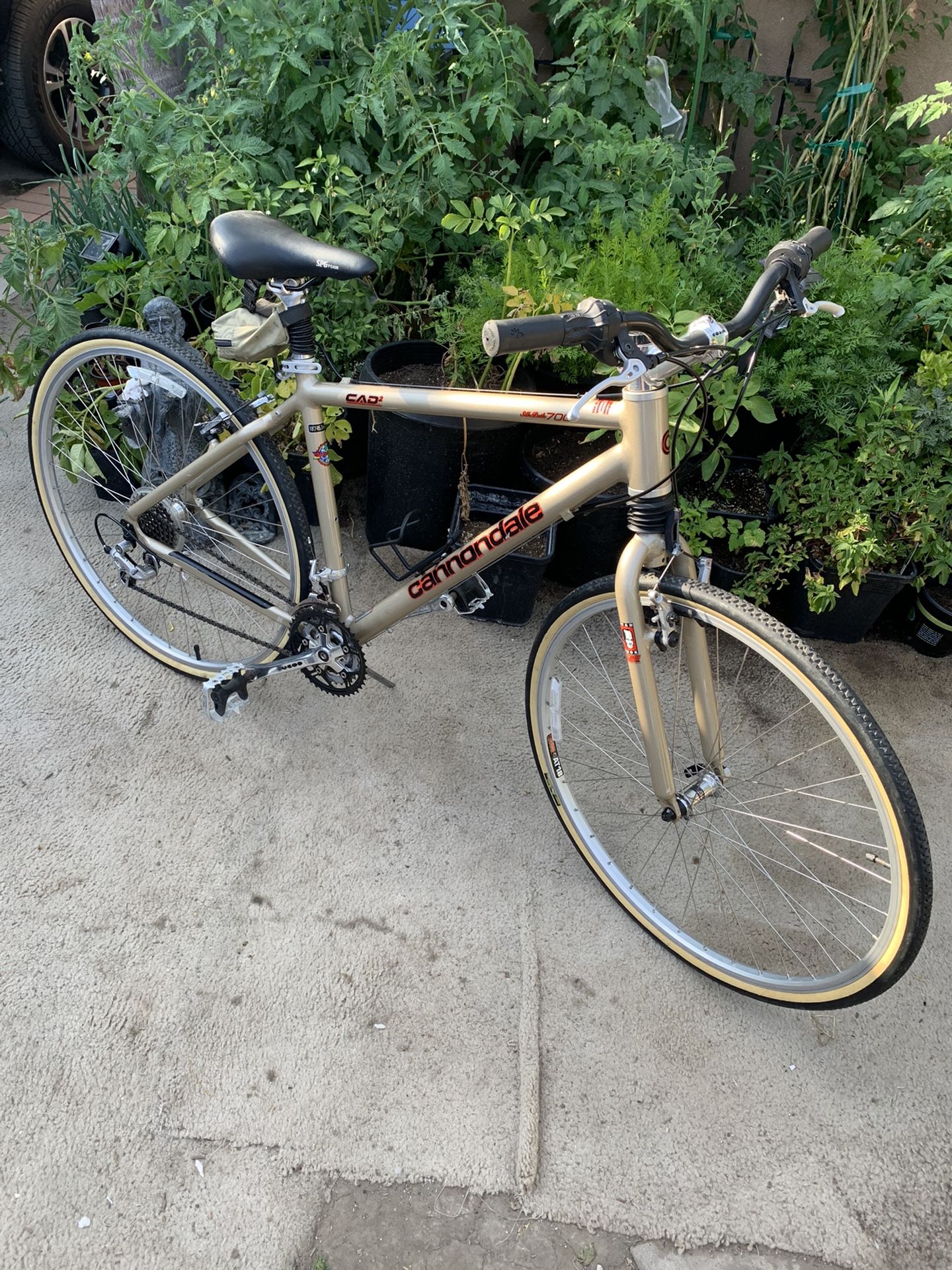 Cannondale Silk Path 700 Hybrid