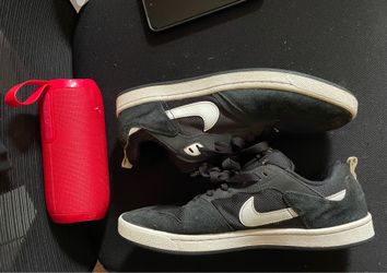 SB Dunks