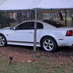2004 Ford Mustang