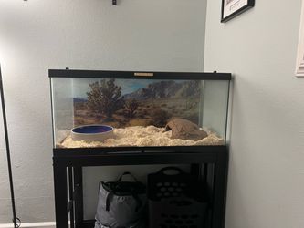 Terrarium and stand