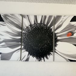 Wall Canvas