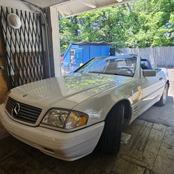 Great Sl500