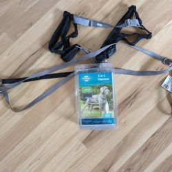 Large Two Point Control Harness 