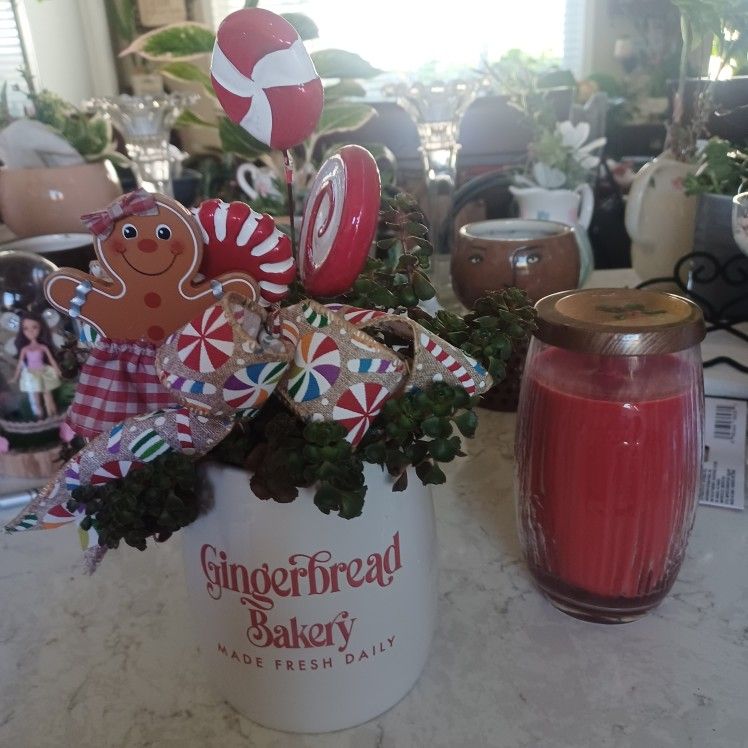 Gingerbread Pot With Succulent