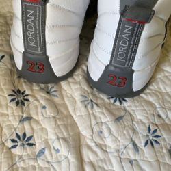 Air Jordan 12 