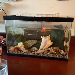 10gal Tank and filter 