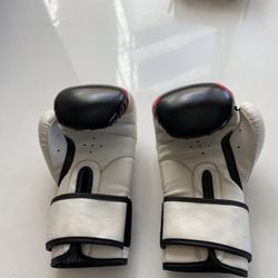Youth Boxing Gloves (UFC Gym)