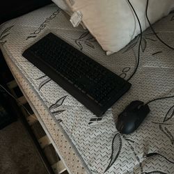 Razor Keyboard + Logetic mouse