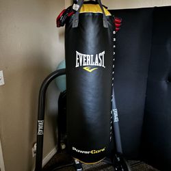 Everlast punching bag