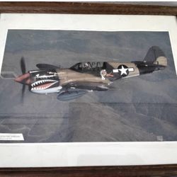 Curtis P-40N warhawk picture 21" * 17"