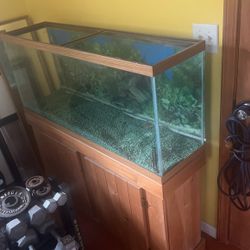 55 Gallon Aquarium On Cabinet Stand 