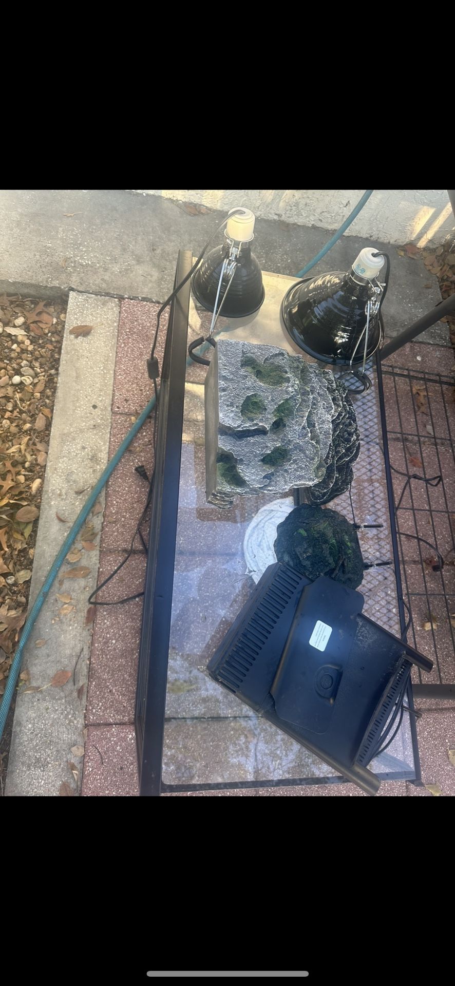 50 Gallon Reptile Tank, Lights, Rock, Filter