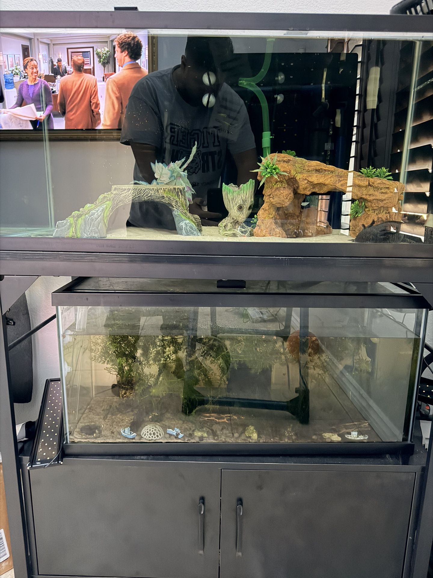 Double Fish Tanks, Stand, Lids, And Lights